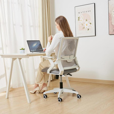 Adjustable Ergonomic Mesh Office Chair with Lumbar Support Flip-Up Arms