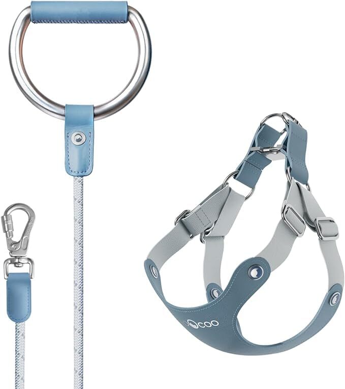 Dog Harness and Leash Set, No Pull No Choke Neck & Chest Adjustable Pet Harne...