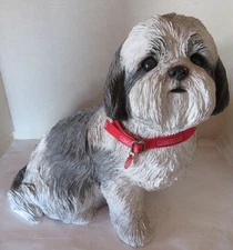 Shih Tzu  Sandicast #J123 - 12 inches tall  Resin
