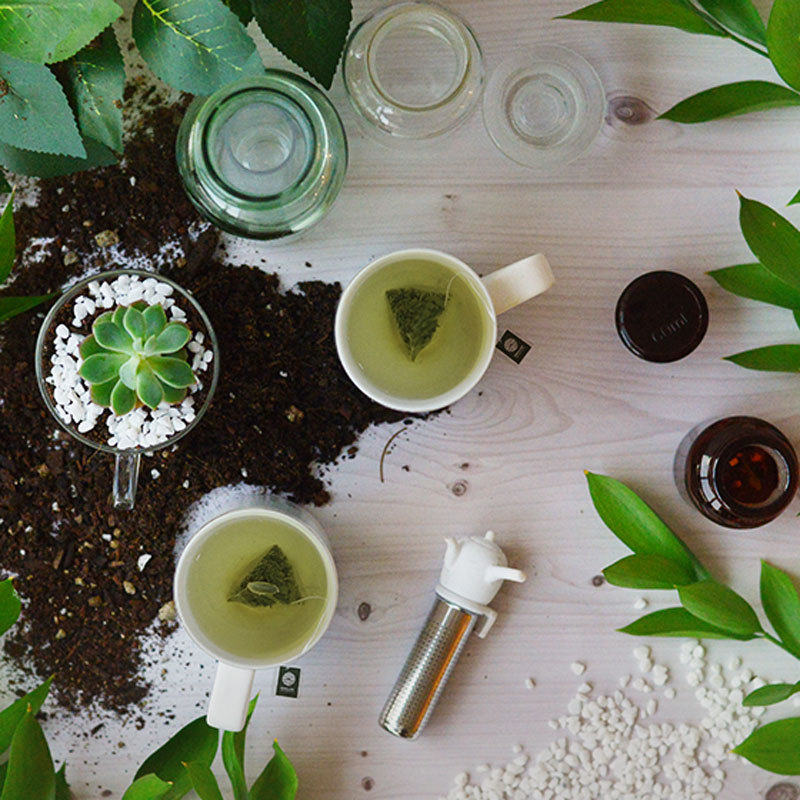 [OSULLOC] Jeju Orchid Green Tea(10 Teabags) Korean Pure Jeju Orchid Flavor eBay