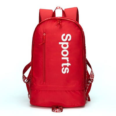 Dinosaur Cute Sports Gym Bag with Shoes Compartment Travel Duffel Bag for Men and Women
