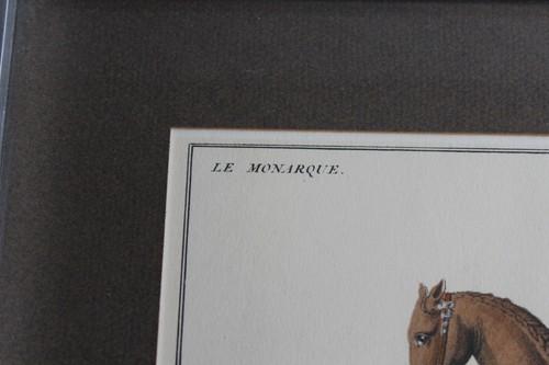 Gravure équestre réhaussée cheval " Le Monarque " N° 24 - Imagen 2 de 6