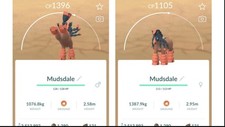  Non Shiny Mudsdale (Nicht Schillernd Pampros...