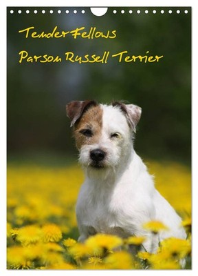 Tender Fellows - Parson Russell Terrier (Wandkalender 2027 DIN A4 hoch), CALVEND