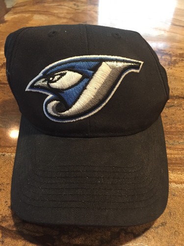 Toronto Blue Jays Black Youth Baseball 