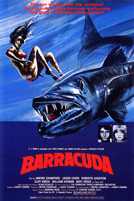 額装済/Barracuda/レイチェル ファーンリー/ポスター Barracuda - 1978 - Poster | eBay