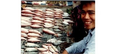 1980s/90s Market Stall: Smiling Fishmonger Vivid Photo Print **Seafood Food**