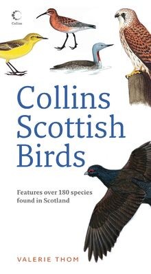 Collins Scottish Birds von Thom, Valerie | Buch | Zustand gut
