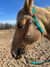Headstall and matching reins combo that can change from one ear to two ear