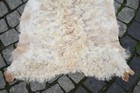 Bild 8 von 9