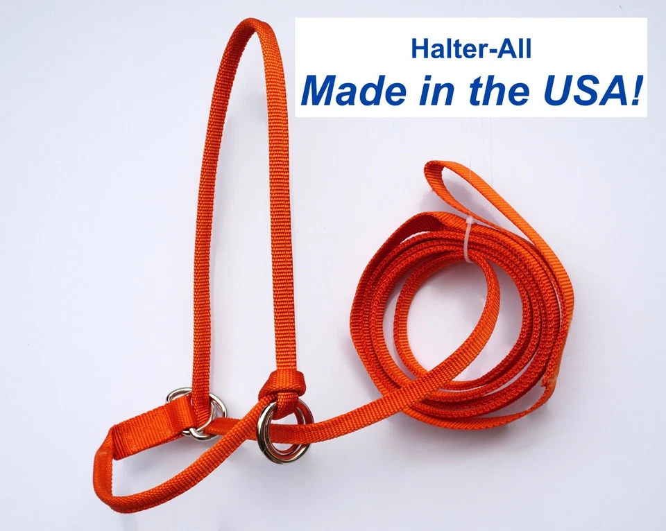 Halter All EXTRA PEQUENO Ovelha, Cabra, Bezerro Pequeno, Quebra Ajustável Infinita EUA - Imagem 3 de 4