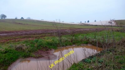 Foto 6x4 Obstbau bei Lintridge Farm Fairfields\/SO7432 Die Ernte u c2015