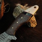 9.1" Collector Damascus Hunting Bush craft Full tang Knife + Resin Handle — photo 3
