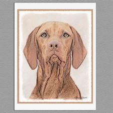 6 Vizsla Hungarian Dog Blank Art Note Greeting Cards