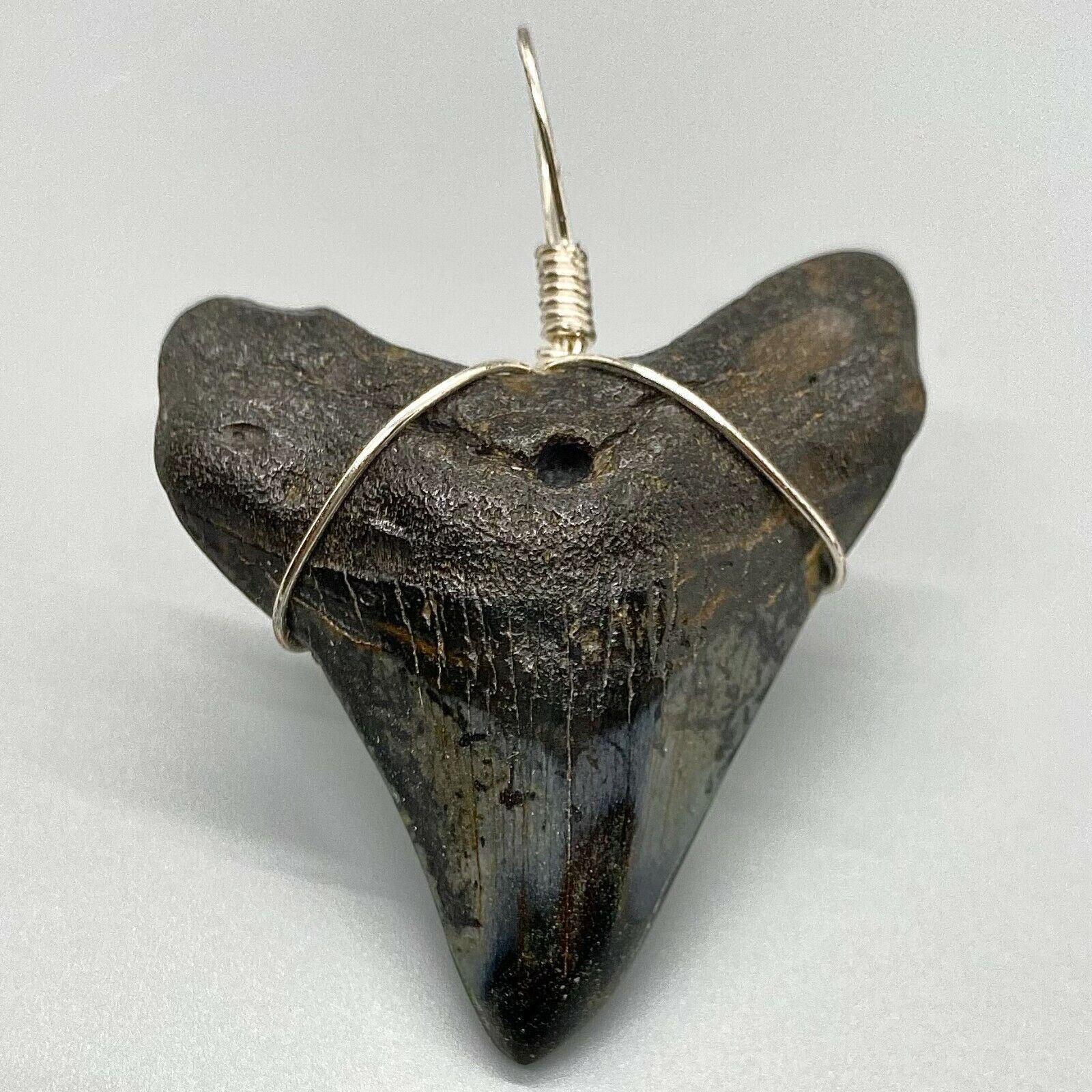 Wire Wrapped 2.16" Polished Tip Fossil MEGALODON Shark Tooth - Meg Jewelry!