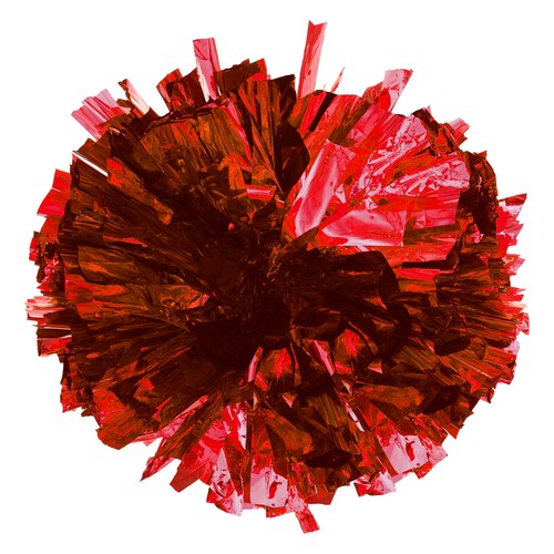 Kids 2 Pack Cheer Leader Shiny Pom Poms for Team Spirit Cheering Performance - 第 10/40 張圖片