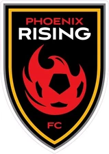 (NOT A SEW ON PATCH) Phoenix Rising FC Soccer HTV Heat Transfer Vinyl Iron On