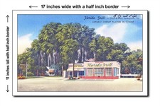 Florida 1940s - Florida Grill- 32nd & Main, J...