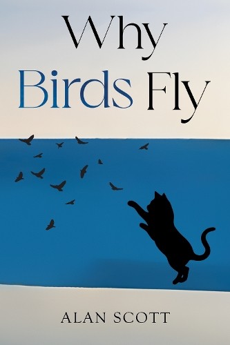 Why Birds Fly by Alan Scott - 9781837945283