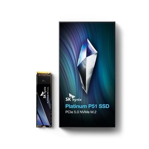SK Hynix Platinum P41 2TB | eBay