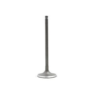 Intake Valve  DNJ Engine Components  IV922