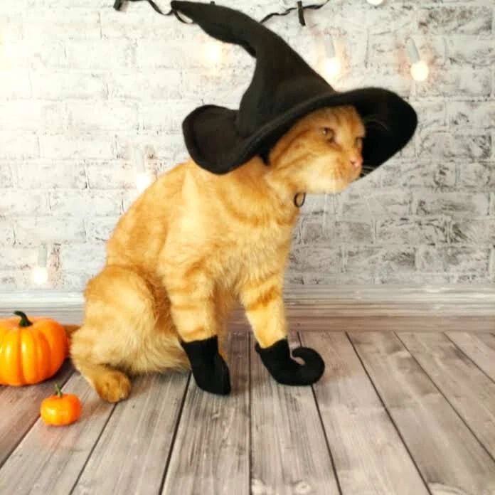 Black Cat Dress Costumes for sale | eBay Black Cat Dress Costumes for sale | eBay
