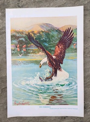 Vintage 1927 Amerikanischer Weißkopfseeadler Vogel fängt einen Fisch Buchdruck von D Constable