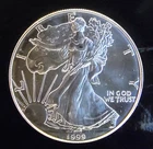 1999 American Eagle Toned Walking Liberty Bullion-0.999 Silver 1 Oz Coin 4f