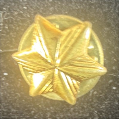 Gold Star Veterans' Groups Lapel Pin Collectible Clutch Back