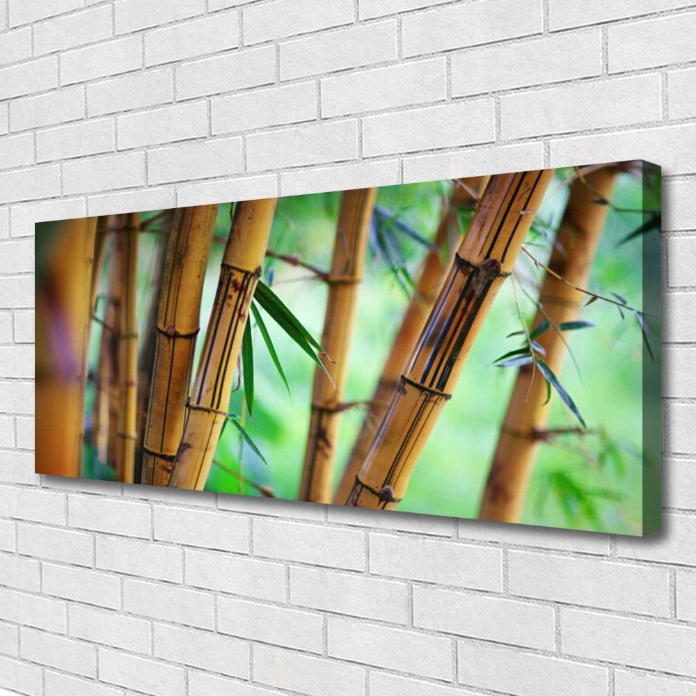 Impression sur toile premium 125x50cm aux tableaux nature bambou avec châssis en bois