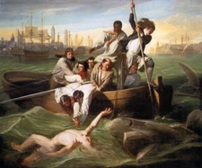 WATSON AND THE SHARK RESCUE ATTACK IN HAVANA PAINTING BY JOHN S COPLEY  REPRO