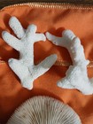 Sea Coral Fossil Mix- Aquarium Coral - WHITE - Five In Lot Mushroom Coral  — photo 7