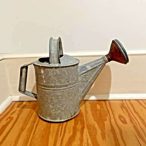 Vtg No 4 Galvanized metal Water Garden Sprinkling Can 8 inch high Copper nozzel