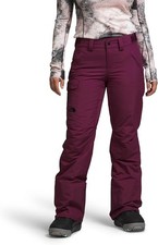 THE NORTH FACE Women's Freedom Insulated Pant Standard and Plus Size - Regular