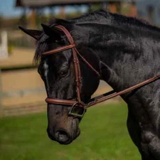 NEW Flex Rider Elegance Hunter Snaffle Bridle