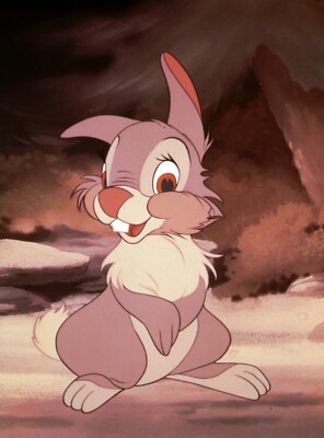 WALT DISNEY BAMBI ANIMATED 8X10 PHOTO Z181 | eBay