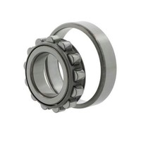 Nachi Zylinderrollenlager N217 Id 85Mm Ad 150Mm Breite28Mm 1St./Ve WäLzlager
