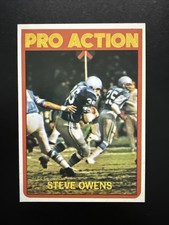 Click to enlarge Steve Owens