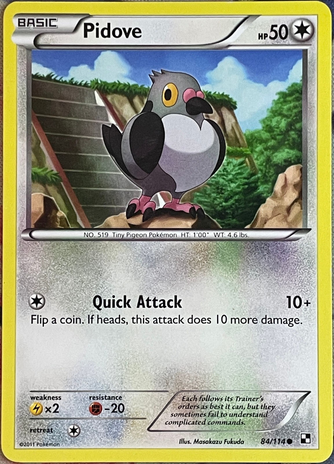 Pidove - 84/114 - Black & White Base Pokemon 2011