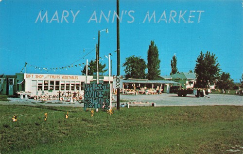 MARY ANN'S MARKET FRUIT STAND VINTAGE MUSCATINE IA ROADSIDE POSTCARD 092023 S - 第 1/2 張圖片
