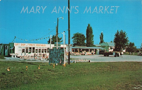 CARTE POSTALE MARY ANN'S MARKET FRUITS STAND VINTAGE MUSCATINE IA ROADSIDE 092023 S - Photo 1 sur 2