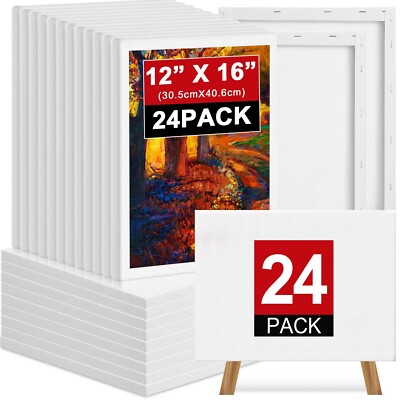 Ireer 24 Pcs Stretched Canvas Bulk, White Canvases for Painting, Cotton Blank...