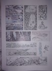 Picture 5 of 7