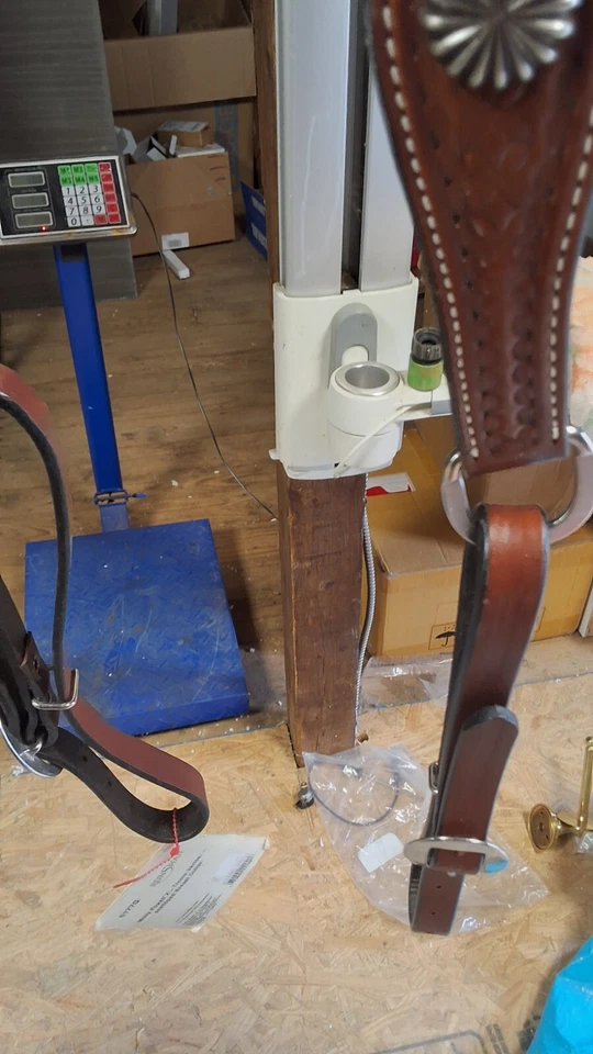 Cuello de pecho Molly Powell vieira NUEVO Foto 3 de 4