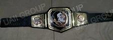 Custom Florida State Seminoles FSU Championship belt made in 2mm brass for fans