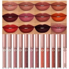 evpct 12Pcs Matte Liquid Lipsticks Set with Moisturize Lip Oil, Maroon Plum M...