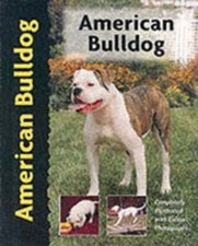 American Bulldog by Abe Fishman: New