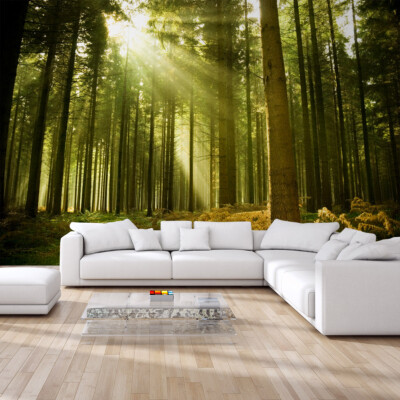 VLIES FOTOTAPETE Selbstklebend TAPETEN XXL Wald Bäume Sonne Farn Natur 1306
