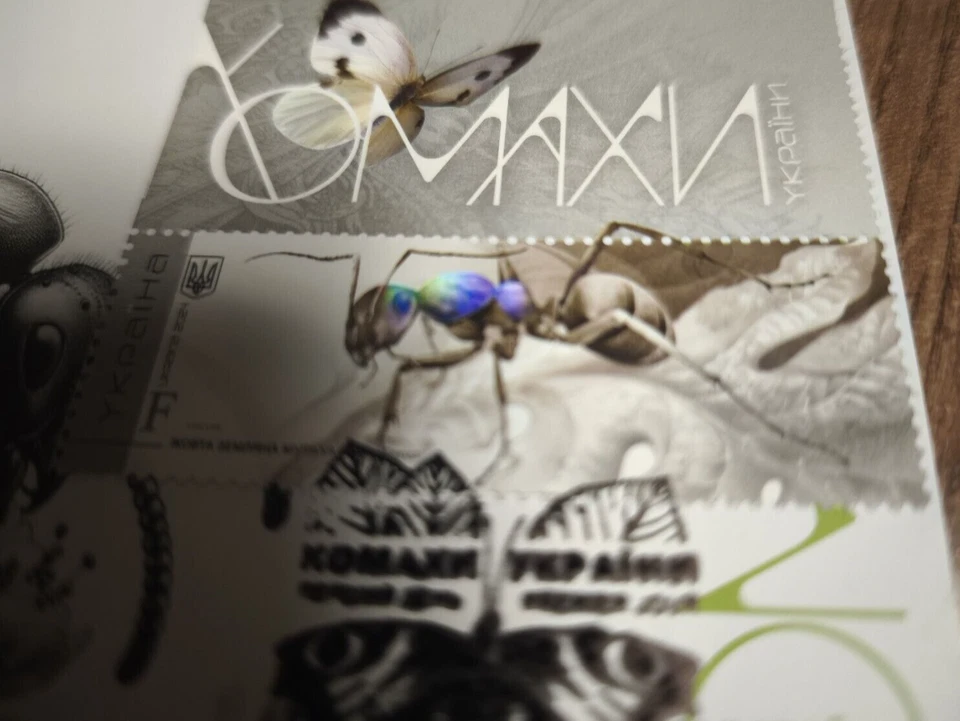 Juego completo de 7 piezas Cartmaximums INSECTOS DE UCRANIA 2024 Escarabajos Mariposa 🐞 Foto 2 de 4