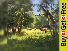 Majestic Forest Deer 5"x7" Print on Matte Paper | Enchanting Woodland Painting